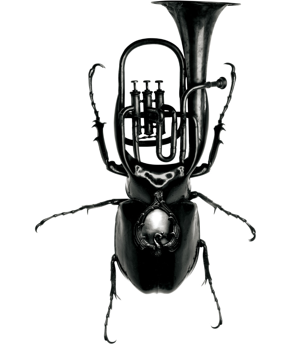 PARISTEXAS Bug Instruments.